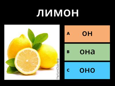 Он? Она? Оно?