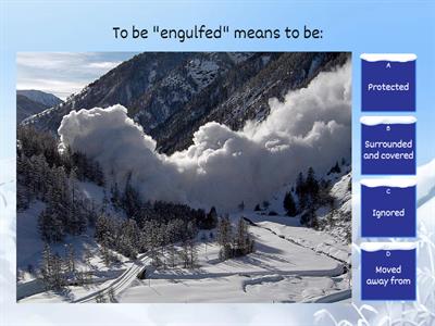 The Avalanche Vocabulary Quiz