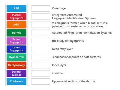 Fingerprint Words and Definitions 