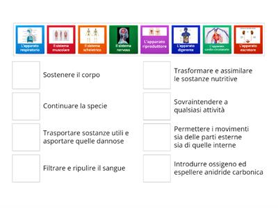 SISTEMI E APPARATI 