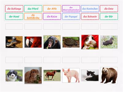 Tiere: Match up