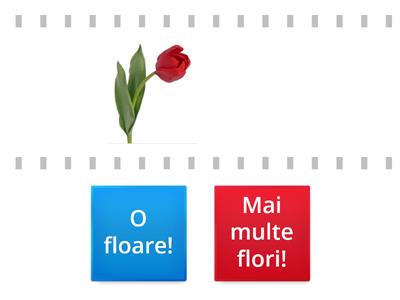 O floare pentru mama!