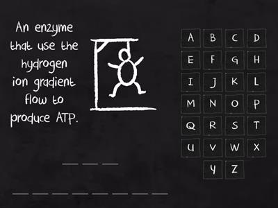 REVIEW LIGHT DEPENDENT GUESS THE WORD