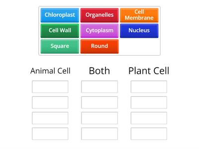 Animal vs. Plant Cell Sort 8/27