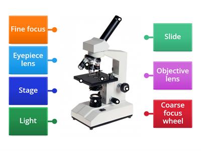 Labeling Microscope Y7 Science Term 2