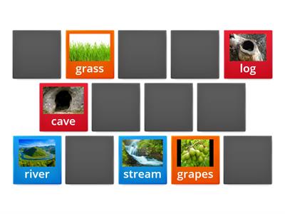 Match  an Animal Need:  water source, shelter, or food