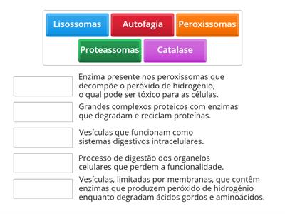 Lisossomas, Peroxissomas e Proteassomas