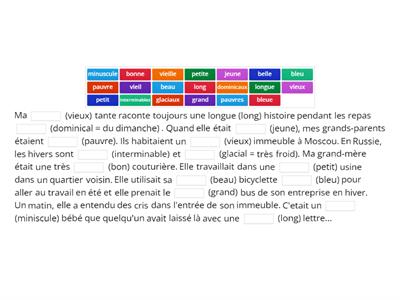 Accord des adjectifs (féminin et pluriel) A2