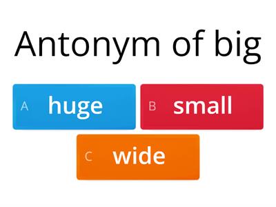 Antonym and Synonym Activity
