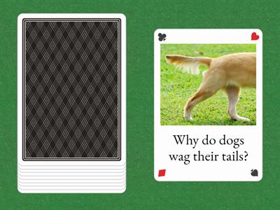Dog Speaking Cards