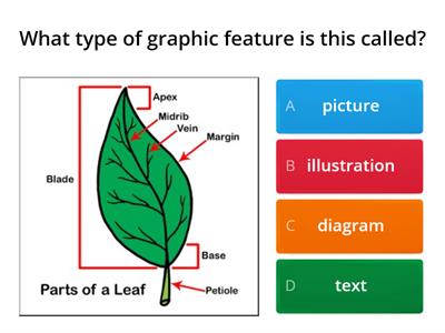 Text and Graphic features