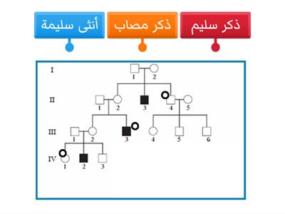 اللوكيشن - مرض دوشين العضلي