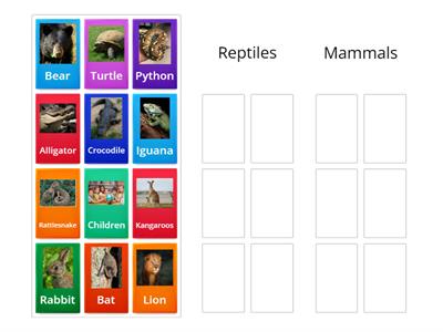 Mammal Vs. Reptile 
