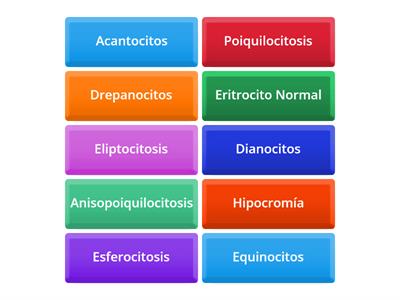 Aprende jugando sobre patología eritrocitaria