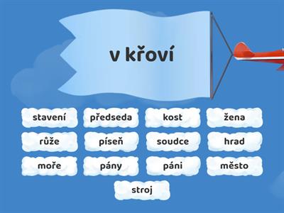 Český jazyk - vzory podstatných jmen