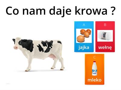 Jakie produkty dają zwierzęta wiejskie?