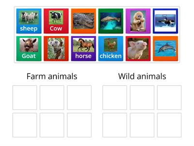 Farm or wild Animal