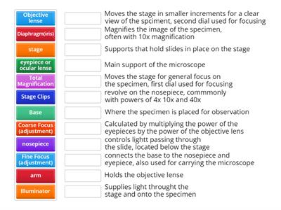 microscope