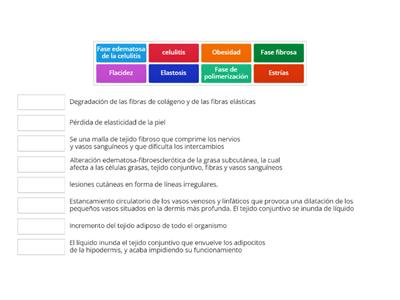 Alteraciones de la dermis e hipodermis