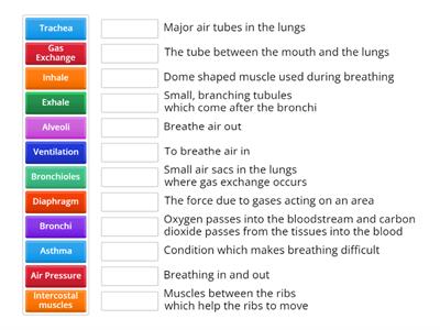 Breathing - Teaching resources