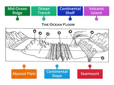 The Ocean Floor