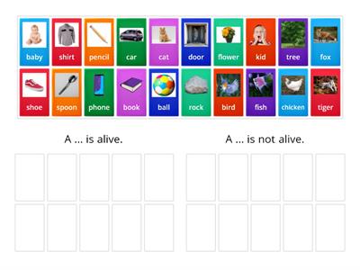 Me1a Sci - "Alive" vs "Not alive" Sort