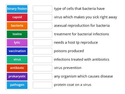  virus and bacteria wordwall