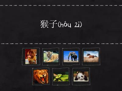 CMEK2 Lesson Zoo 动物园（dòng wù yuán）