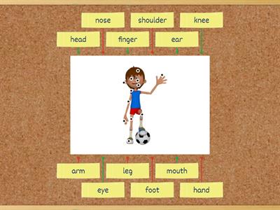 2nd Grade- Body parts-Label