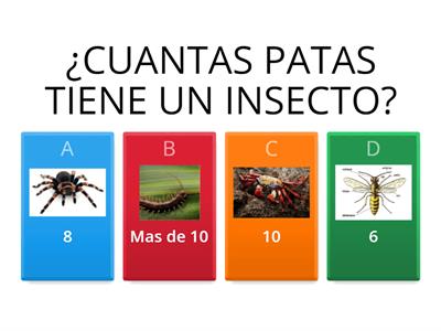 GENERALIDADES DE LOS INSECTOS 