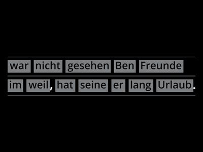 Korrigieren Sie die Sätze.