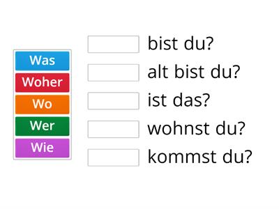 Ergänze die Fragen mit W-Wort