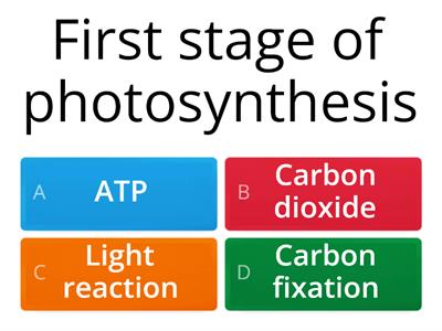 Quiz N5 Photosynthesis