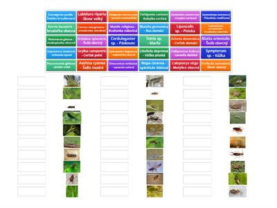 Lesnická entomologie - poznávačka - druhy (část 1.)