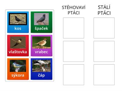 Ptáci stálí a stěhovaví