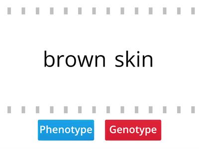 Phenotype or Genotype