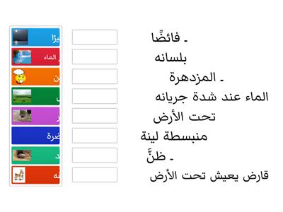 مفردات وتراكيب قصة : خويلد والبطاطا 