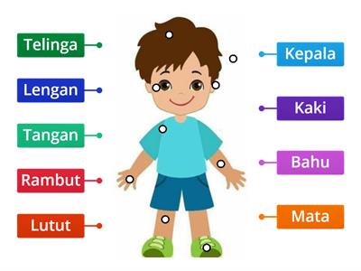 P1 Unit 2 Pelajaran 1 Anggota Badan(HA)