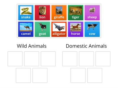 Wild and Domestic Animals