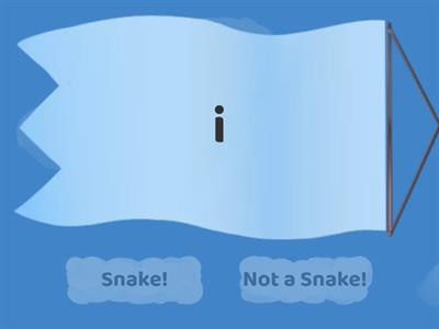 SNAKES:  Which letters make the "C"  hissss like a SNAKE?