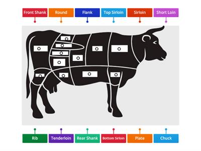 Beef Diagram 