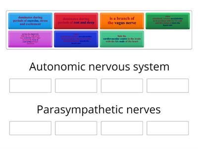 CAX KS5 A2 Biology Autonomic and parasympathetic nerves 