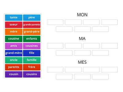 Adjectifs possessifs (Mon, Ma, Mes)- membres de famille