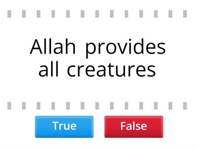 Allah ArRazzaq, The (Ultimate)Provider, Quiz2 