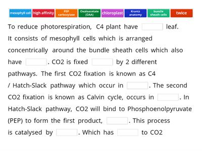 Describe the mechanism that reduces photorespiration in C4 plants.	