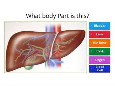 Body Parts Ultimate Quiz