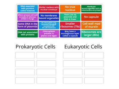 Prokaryotic and eukaryotic cell comparison
