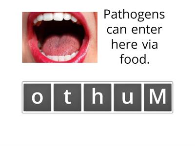 How do pathogens get in?