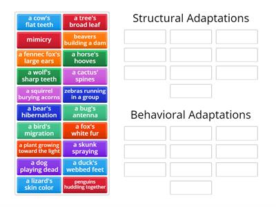 Structural and Behavioral Adaptations