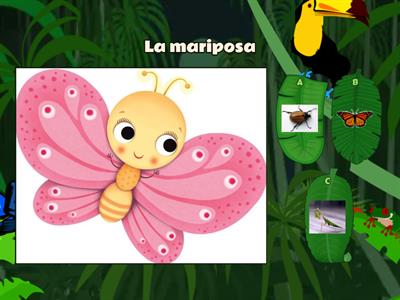 TODDLERS Los insectos en español 1